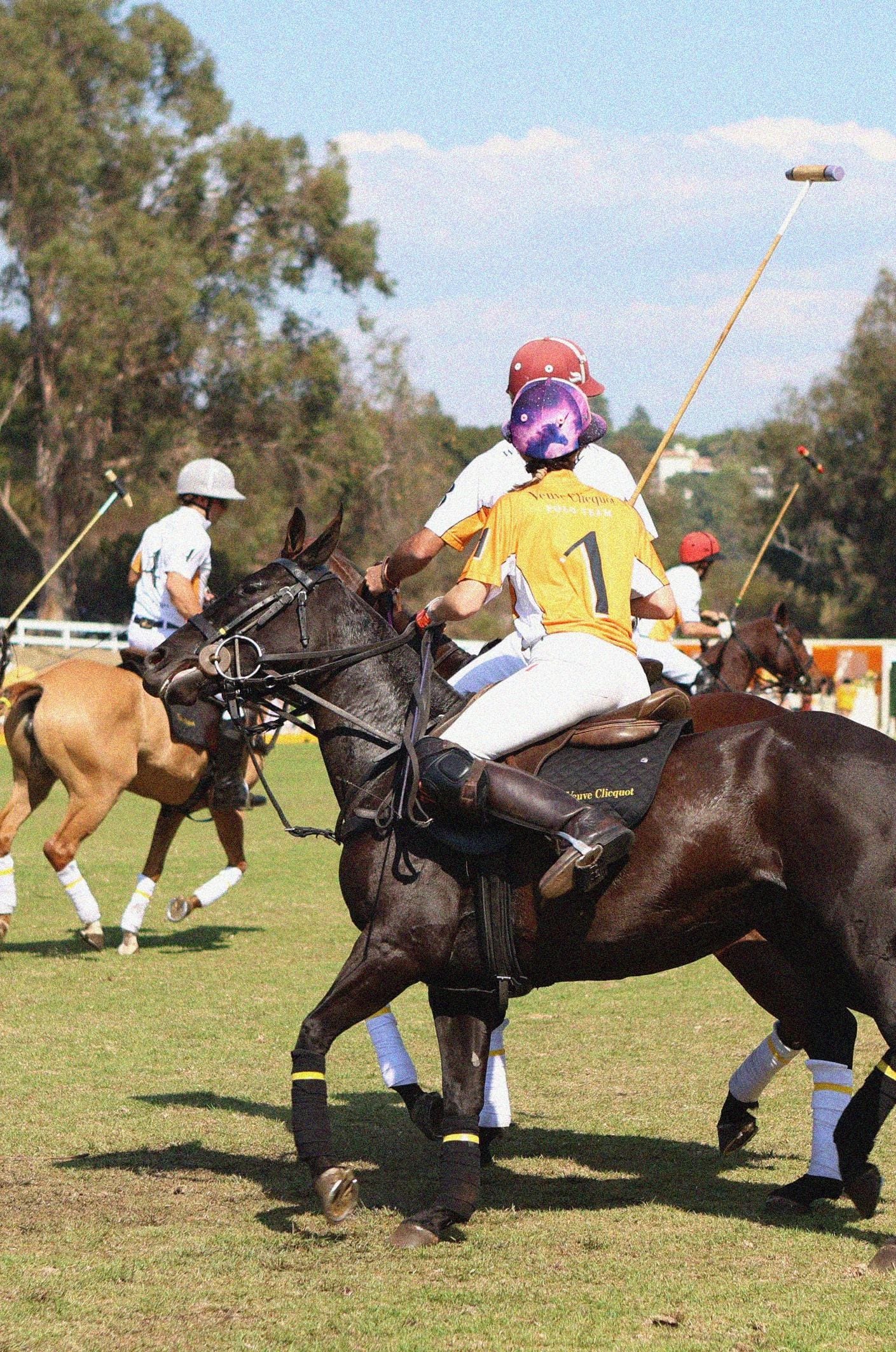 Polo players in action
